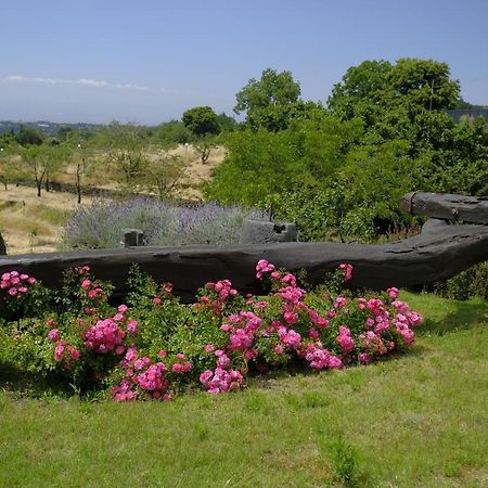 Cirasa Luxury Country House Trecastagni Extérieur photo